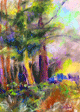 Forest's Edge 12 x 16 framed pastel $150
